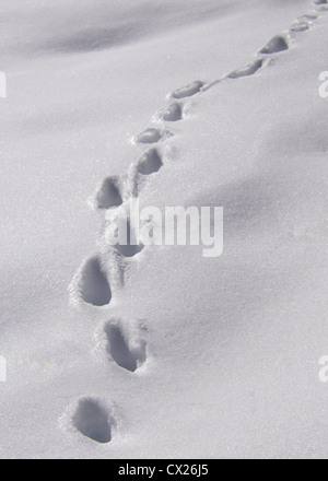 eine Reihe von Fußabdruck im Schnee von unten links nach oben rechts des Rahmens Stockfoto
