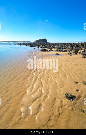 Stack-Insel, Minnamurra, New South Wales, Australia, New South Wales, Australien Stockfoto