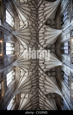 Winchester Kathedrale Kirchenschiff Decke - Hampshire UK Stockfoto