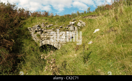 die Überreste von einem Kalkofen eingelassene Böschung Bank, Cumbria, England Stockfoto