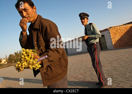 Ein uigurische Mann isst aus einer Reihe von Trauben in Turpan, Xinjiang, China Stockfoto