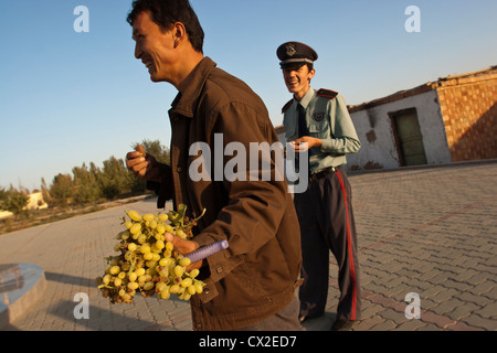 Ein uigurische Mann isst aus einer Reihe von Trauben in Turpan, Xinjiang, China Stockfoto