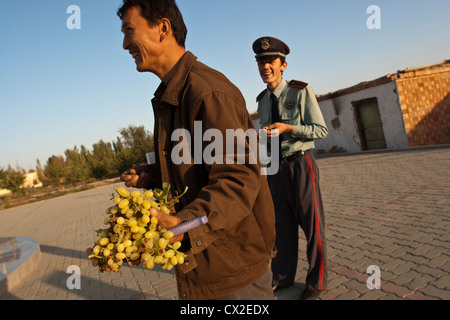 Ein uigurische Mann isst aus einer Reihe von Trauben in Turpan, Xinjiang, China Stockfoto