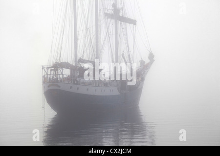 Die Großsegler / Barkentine Antigua Segeln im Nebel mit Touristen auf Svalbard, Spitzbergen, Norwegen Stockfoto