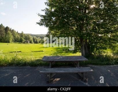 Einfacher hölzerner Picknicktisch im Baumschatten am Straßenrand Lay-by, Finnland Stockfoto