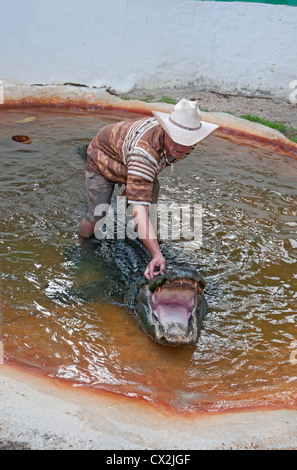 Dschungel Queen cruise Funktionen einer tropischen Insel mit Alligator wrestling.  Ft.Lauderdale,Florida. Stockfoto