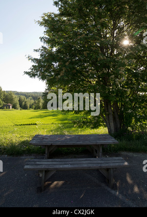 Holzpicknicktisch am Highway Rastplatz im Baumschatten auf finnischer Landschaft, Finnland Stockfoto