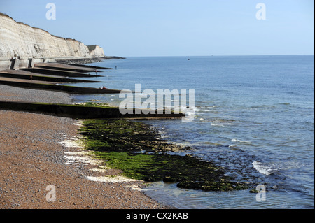 Kreidefelsen entlang der Küste direkt hinter Brighton Marina UK Stockfoto