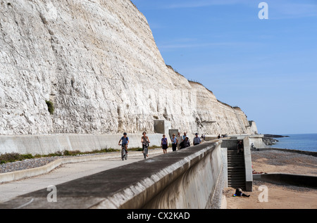 Der undercliff Walk, der vom Yachthafen von Brighton entlang zur Rottingdean Sussex Coast UK führt Stockfoto