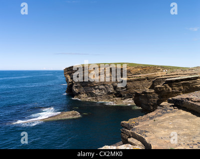 dh Brough of Bigging YESNABY ORKNEY Seacliffs Blue Sky Seapinks clif Tops und ruhige Meeresklippen Cliff scotland Coast Summer uk Stockfoto