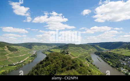 Landschaft mit der Mosel in Deutschland Stockfoto