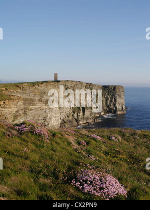 dh Kitchener Memorial MARWICK KOPF ORKNEY Sea Cliffs RSPB Vogel Naturschutzgebiet Cliff Top Thrift scottish Denkmäler scotla Vögel schottland vereinigtes Königreich Stockfoto