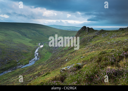 Dramatische Landschaft an Tavy Cleave, Dartmoor National Park, Devon, England. (August) im Sommer 2012. Stockfoto