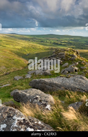 Tavy Cleave betrachtet aus Ger Tor, Dartmoor, Devon, England. (August) im Sommer 2012. Stockfoto