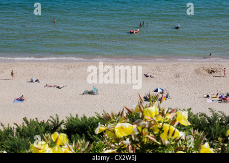 Blickte auf den Sandstrand von Bournemouth, Dorset, England, von den Klippen, die durch schöne Wildblumen aufgefüllt werden. Stockfoto