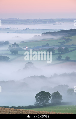 Nebel bedeckte Landschaft in der Morgendämmerung, Stockleigh Pomeroy, Devon, England. Herbst (September) 2012. Stockfoto