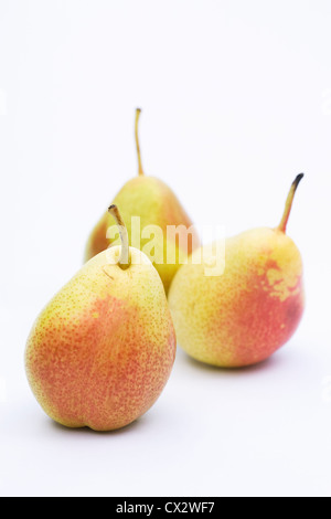 Pyrus Communis "Forelle". Drei rote erröten Tafelbirnen auf weißem Hintergrund. Stockfoto