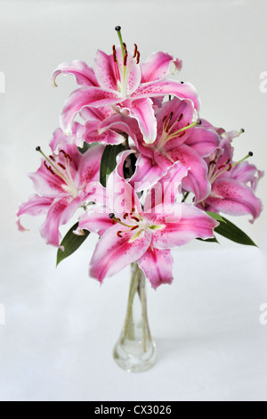 Bouquet von rosa Lilien in Glasvase Stockfoto