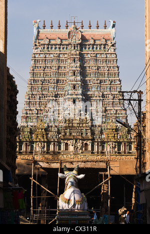 Elk201-5117 Indien, Sri-Meenakshi-Tempel, Nandi-Statue, Madurai, Tamil Nadu Stockfoto