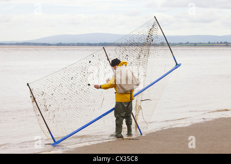 Haaf Net Fischer Angeln für Lachs & Meerforelle im Fluss Eden Kanal in der Nähe von Port Carlisle auf Solway Mündung, Cumbria Stockfoto