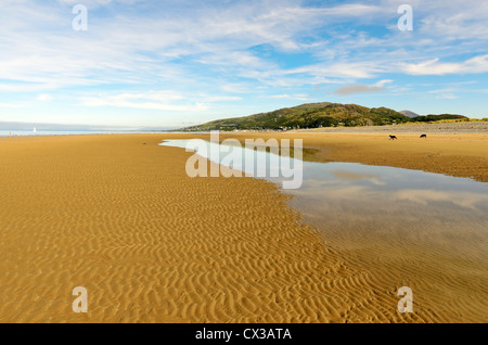 Fairbourne Strand Blick nach Norden in Richtung Barmouth in Gwynedd, Wales. Stockfoto