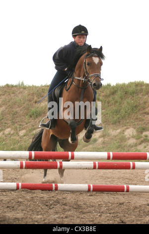 Pony Stockfoto