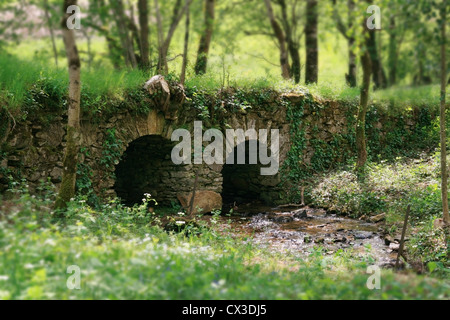 schöne kleine Steinbrücke in einem Wald Stockfoto