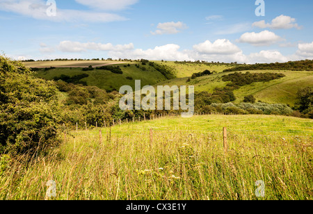 Ein Blick auf Millington Weiden, in der Nähe von Bishop Wilton auf die Yorkshire Wolds Stockfoto