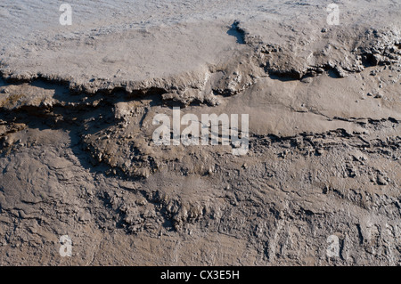 Schlamm und Schlick abgelagerten Strömungen Ebbe Mündung Seite beleuchtet sonnig Stockfoto