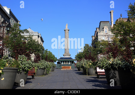 Kanada, Quebec, Montreal, legen Jacques Cartier, Nelson Säule Stockfoto