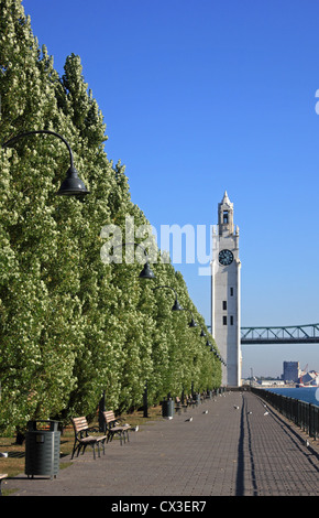 Kanada, Quebec, Montreal, Tour de l ' Horloge, Clock Tower Stockfoto