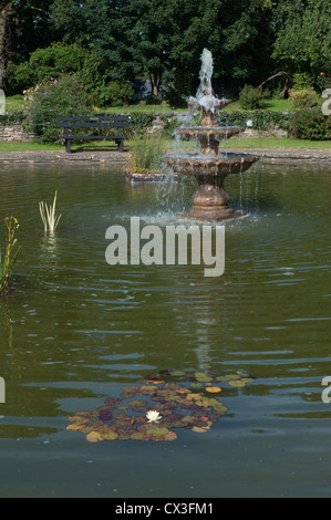 Wasser-Brunnen im Volkspark am sonnigen Tag, Seerose im Vordergrund Stockfoto