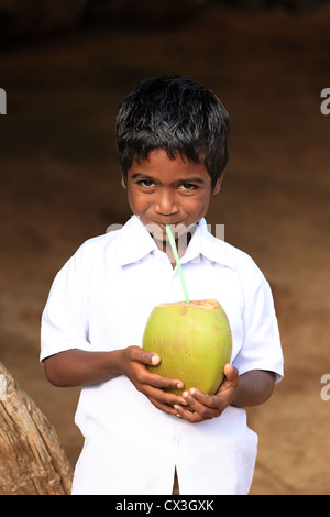 Jungen trinken aus einer Kokosnuss Andhra Pradesh in Indien Stockfoto