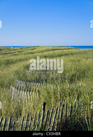 Düne Zaun schützt vor Erosion der Düne Stockfoto