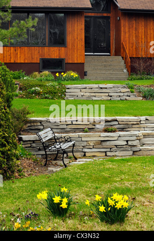 Heimgärten im frühen Frühling-Haus und Narzissen, Greater Sudbury, Ontario, Kanada Stockfoto