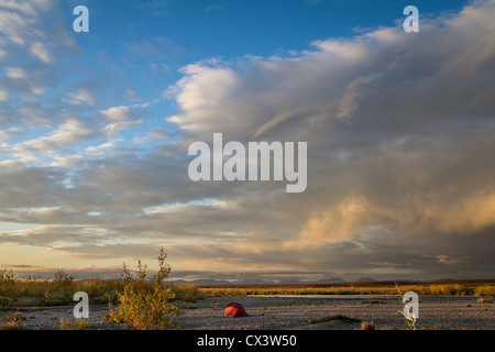 Abendsonne leuchtet auf einem Campingplatz am Fluss Aniuk in Noatak National Preserve, Alaska, USA. Stockfoto