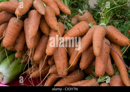 Frisch gepflückt Bio-Karotten für den Verkauf auf dem Bauernmarkt in Monterey. Stockfoto