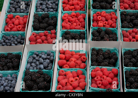 Beeren für den Verkauf auf dem örtlichen Bauernmarkt in Monterey, Kalifornien Stockfoto