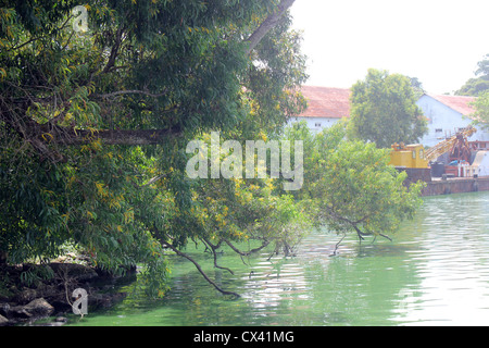 Astamudi See Stockfoto