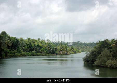 Panoramablick auf Astamudi See, Lagune, Backwaters Kerala, Indien, Süd-Indien. Stockfoto