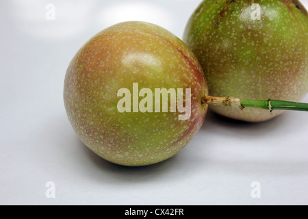 Früchte von Passiflora Edulis gemeinhin als Passionsfrucht/Maracuja Stockfoto