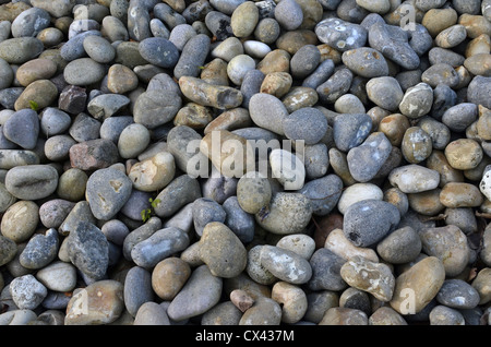 Sammlung von ziemlich großen Schindelsteinen. Konzept 'Fall auf steinigen Boden', Warnungen ignoriert etc., lassen Sie keinen Stein ungewendet. Stockfoto