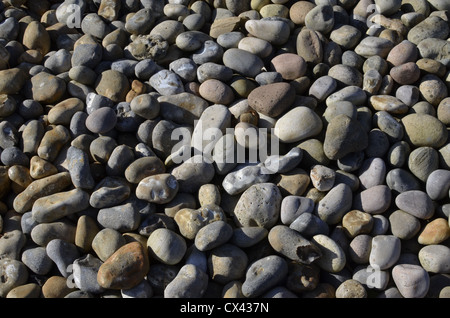 Sammlung von ziemlich großen Schindelsteinen. Konzept 'Fall auf steinigen Boden', Warnungen ignoriert. Etc. Auch International Rock Day. Lassen Sie keinen Stein ungewendet Stockfoto