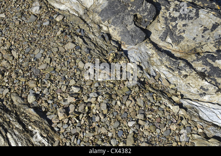 Kies in den Felsen der Küste. Konzept 'fallen auf steinigem Boden", Warnungen ignoriert. etc. Stockfoto