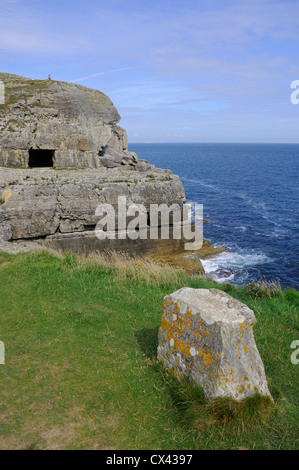 Tilly Laune Höhlen im Durlston Head an der Küste von Dorset Stockfoto