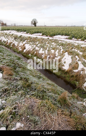 Entwässerung Deich Graben Deiche Gräben Felder, die Wasser angemeldet Hochwasser überflutet Stockfoto