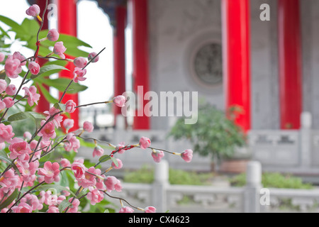 die chinesischen Wohnstil. Das Dekor ist bunt. Stockfoto