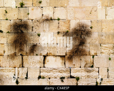 Klagemauer, Jerusalem, Israel Stockfoto