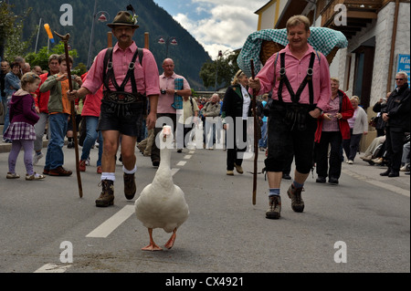 (Neustift Im Stubaital Almabtrieb) Fest, bringen die Kühe nach unten vom hohen alpinen Weiden in den österreichischen Alpen Stockfoto