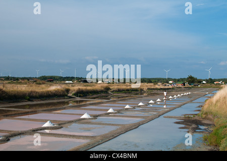 Île-d ' Olonne, Les Sables-d ' Olonne, Vendée, Pays De La Loire, Frankreich. Stockfoto